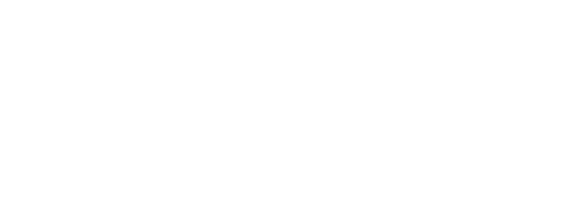 NuvoLinQ logo, white-out