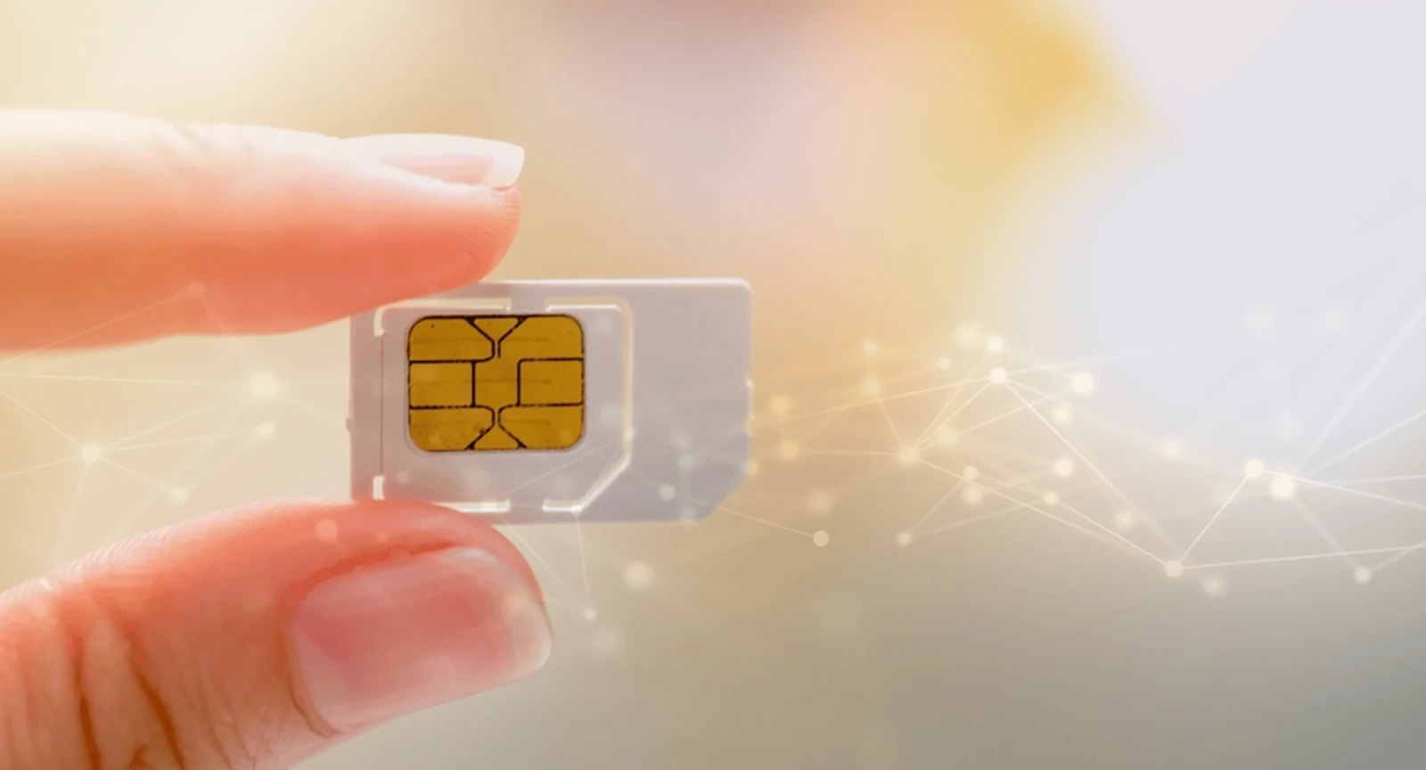 Fingers holding a SIM card with a digital network overlay